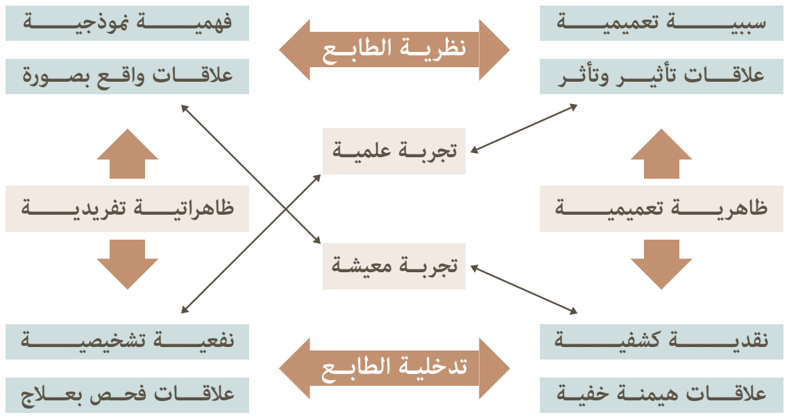 علم الاجتماع الدلالة والنشأة والتطور - رسم بياني